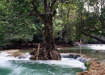 Thailand National Park