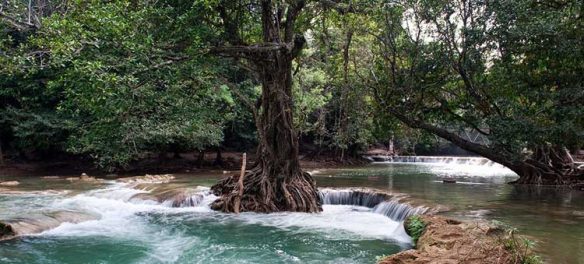Thailand National Park
